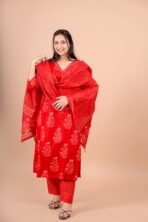 Aabha Red Handwork Suit Set with Dupatta - Image 6