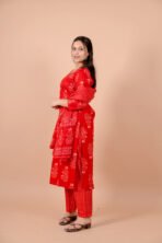 Aabha Red Handwork Suit Set with Dupatta - Image 5